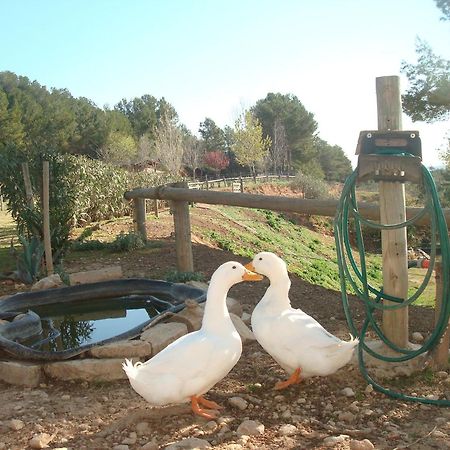 Comarquinal Bioresort Penedes San Quintín de Mediona Eksteriør billede