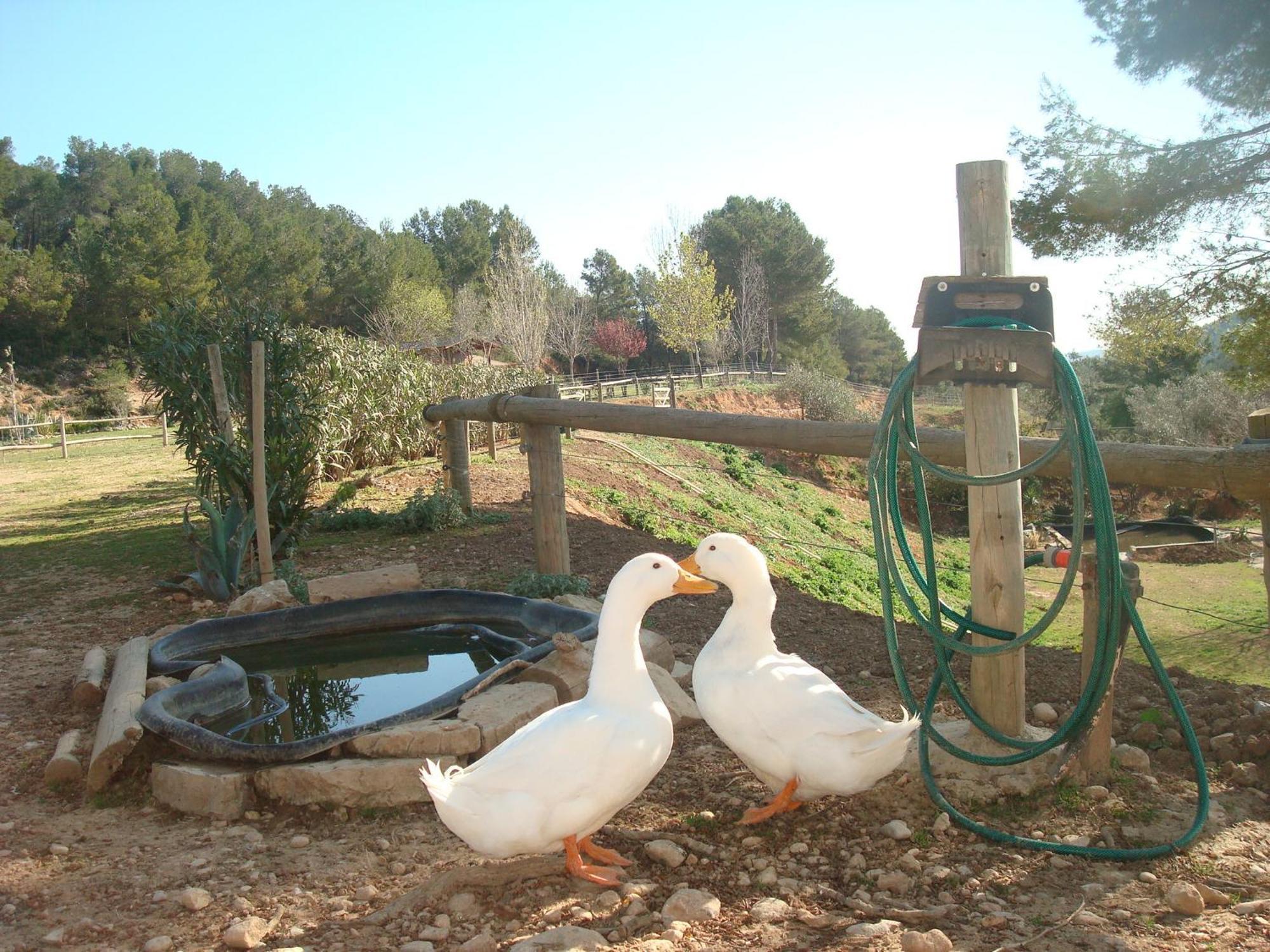 Comarquinal Bioresort Penedes San Quintín de Mediona Eksteriør billede