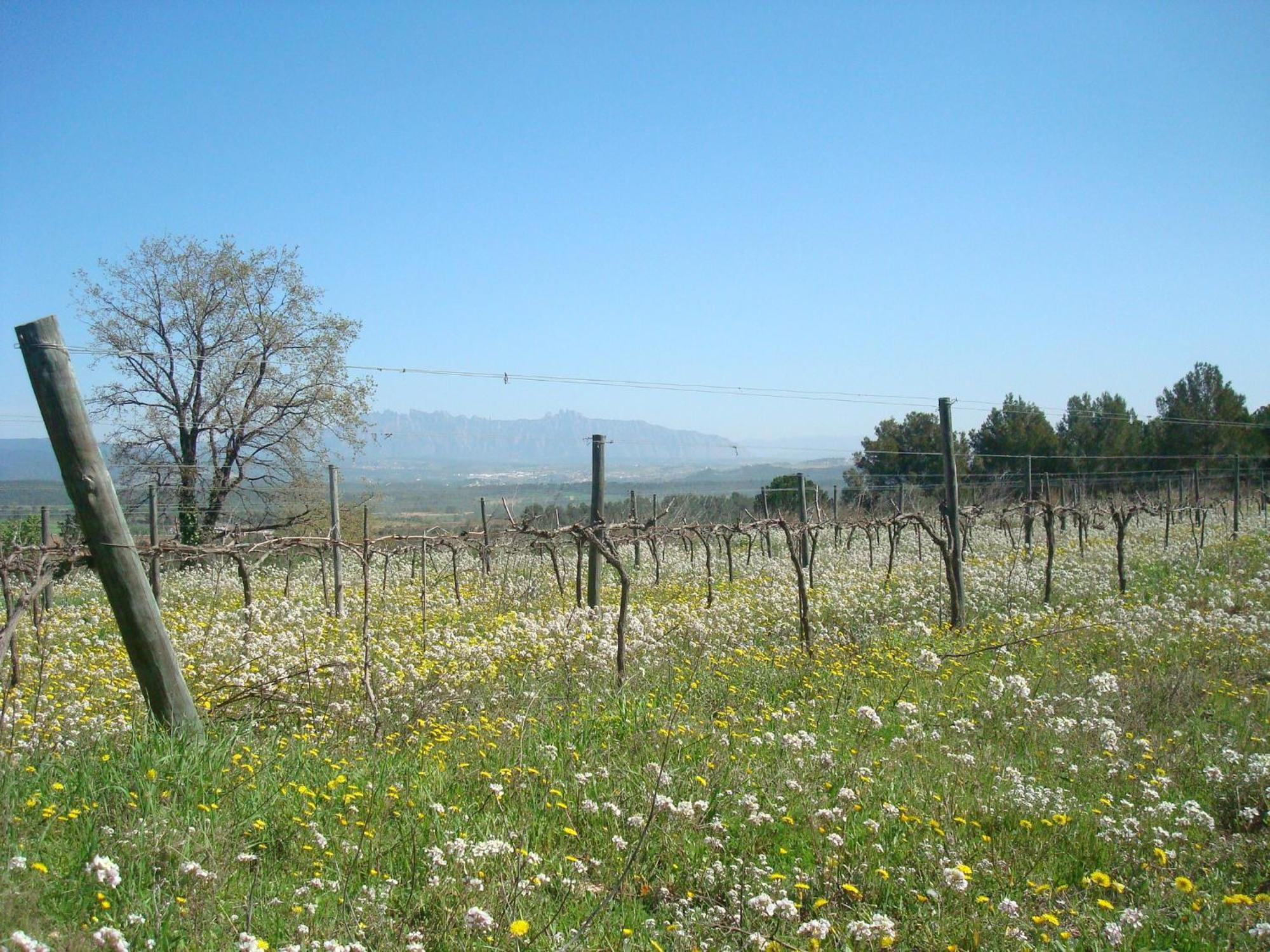 Comarquinal Bioresort Penedes San Quintín de Mediona Eksteriør billede